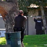 News_101101_PalStandOff