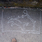 DSCN7015.JPG