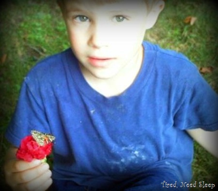 M holding a butterfly on a flower, just before releasing it M holding a butterfly on a flower, just before releasing it