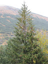 IMG_1279.jpg