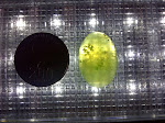 IMG-20111113-01718.jpg