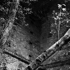 Nettleham-Hall-19