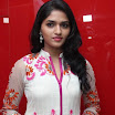 Neerparavai Audio Launch Stills (43).jpg