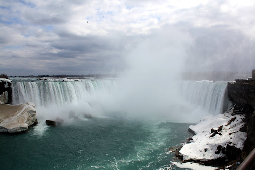 IMG_4964.JPG
