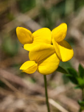 P8207503