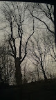 IMAG0339.jpg
