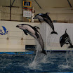 hokkaido_434.jpg