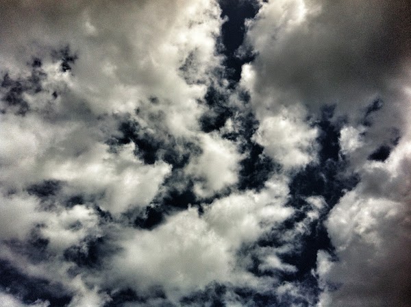 IMAGE_5F8D5233-38FD-4F5B-A42F-F817A1875F64.JPG