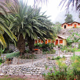 Posada Paraiso Las Palmeras - Oasis Sangalle - Canion do Colca - Cabanaconde - Peru