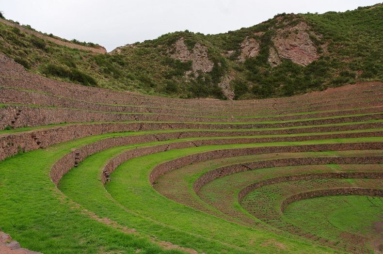 moray-terraces-8 moray-terraces-8