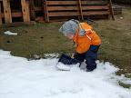 Viggo skottar snö