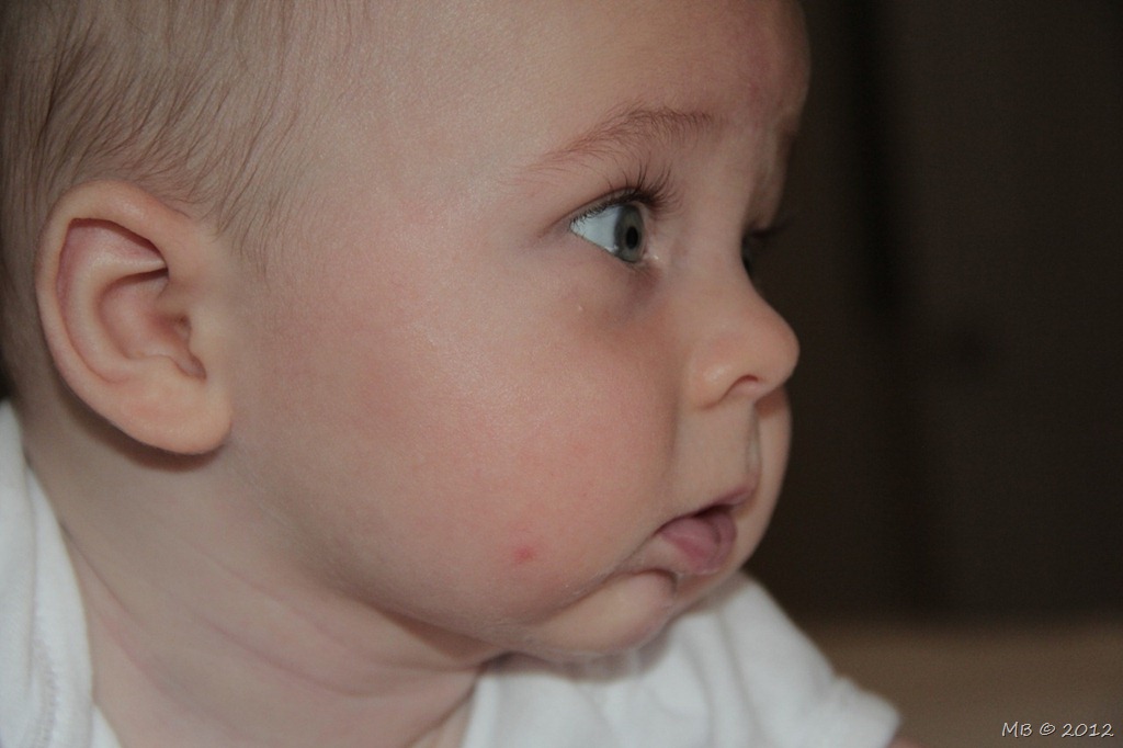 [IMG_75191%255B1%255D.jpg]