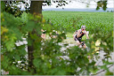Roth_2010_242.jpg