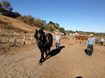 IMG_0439.JPG