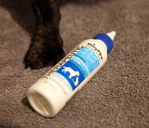 That's right Sharkey.  We use this ear cleaner to clear waxy buildups and stop infections before they start!  Pups with floppy ears are especially prone to infections, so they should definitely clean their ears frequently!