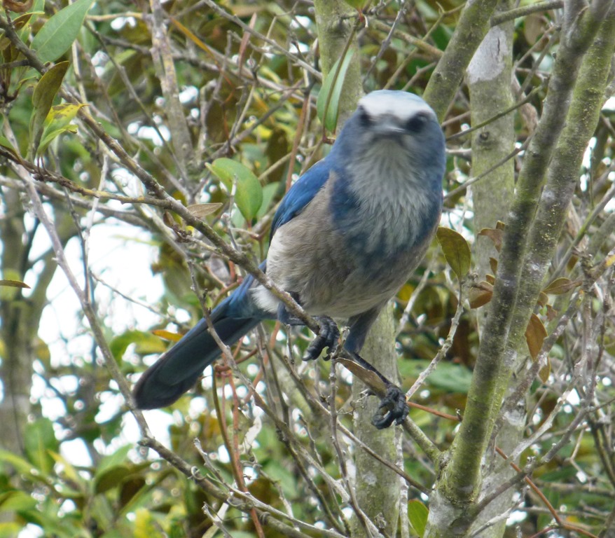 [P1040845%255B3%255D.jpg]