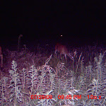 MDGC0359.JPG