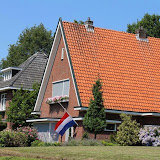 IMG_9984.jpg