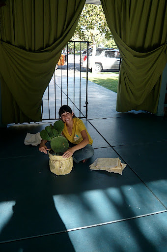 Jen's sister wraps a cactus in some Jenny Pennywood-printed fabric the morning of the wedding.