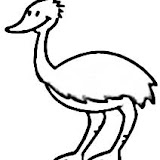 %25E2%2580%25A2and%25C2%25A3.jpg