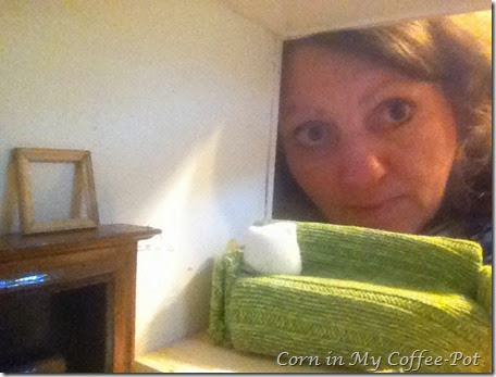 selfies-tinyhouse-porch -porchlight 177