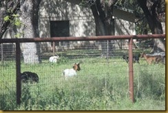 IMG_0353 IMG_0353