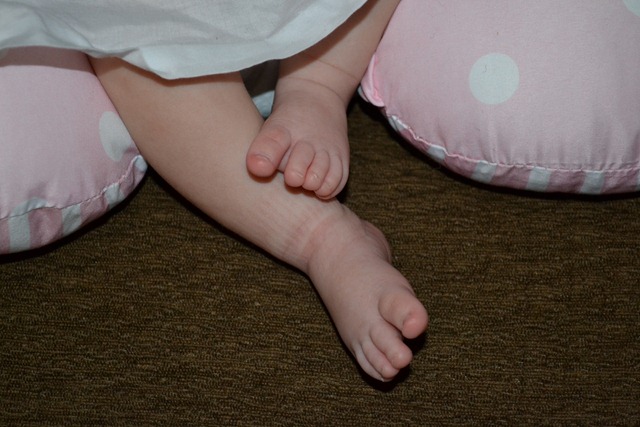 [DSC_0040%255B2%255D.jpg]