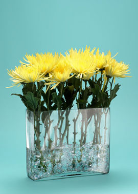 Glass Rectangle. (jamaligarden.com)