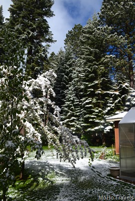 late spring snow at Rocky Point