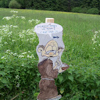 image_from_picasa