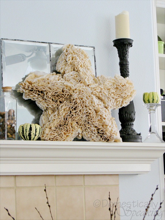 [ruffle-star-54.jpg]