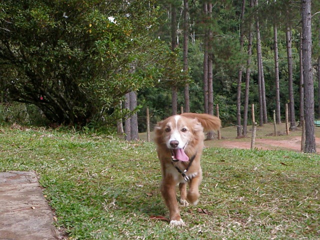 [Patas%252022%2520%252889%2529%255B4%255D.jpg]