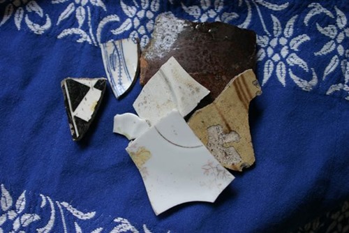 20080606 (Small) 20080606 (Small)