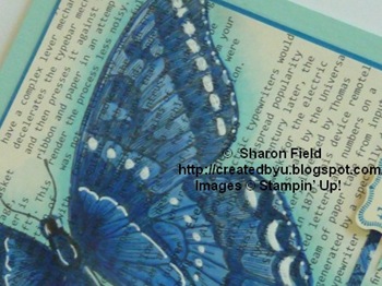butterfly2sharonfieldjanuary302012cbyu