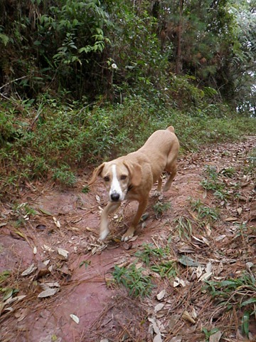 [Patas%252022%2520%252865%2529%255B4%255D.jpg]