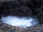 oregon_coast