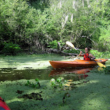 Two OClock Bayou Paddle July 14, 2012 - IMG_0033.JPG