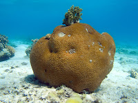 P3150010.JPG