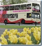 bh_bus_tulips bh_bus_tulips