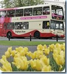 bh_bus_tulips