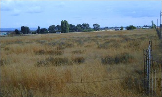 Vleikop Randfontein 2ha smallholding sells for R275thousand