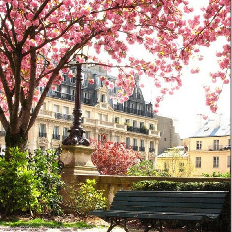 18 Days Until Spring!