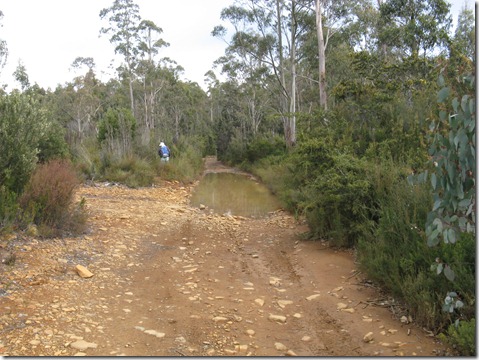 Bog on  White Timber Trail