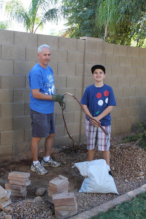 [garden%2520092%255B4%255D.jpg]