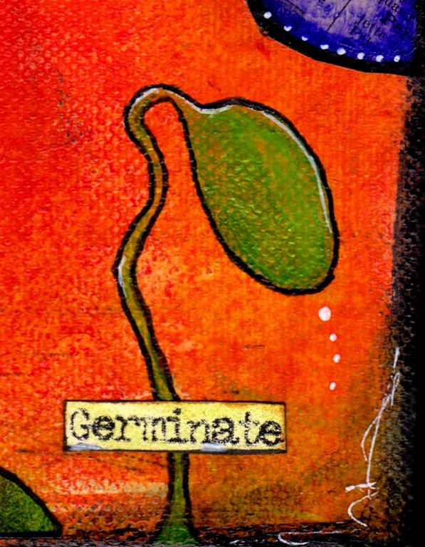 [germinate1%255B5%255D.jpg]
