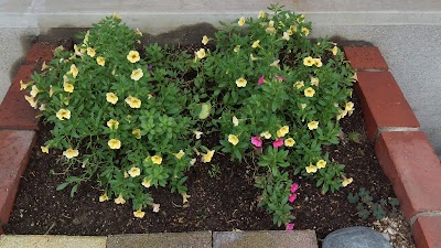 2014-09-01 08.36.42.jpg