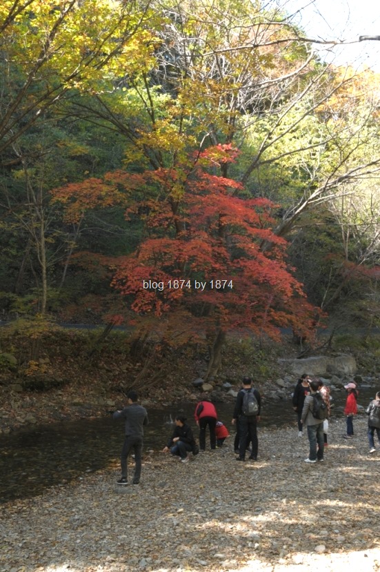 [SYG_4917%255B14%255D.jpg]