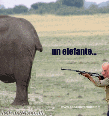 [elefante%2520juan%2520carlos%255B4%255D.gif]