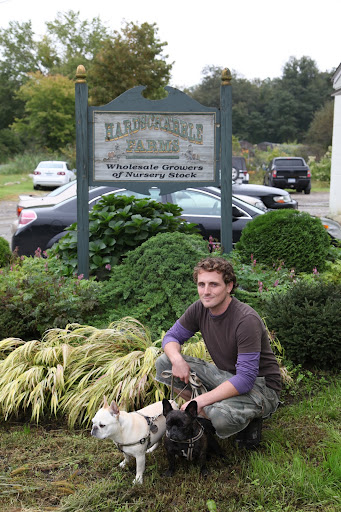 Ryan was going to Hardscrabble Farms in North Salem, NY and we, Frenchies, tagged along.  They are a 40-acre nursery and offer a large selection of evergreens, shade trees, fruit trees, flowering trees, shrubs, and many other great plants.