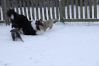 _DSC0050.JPG